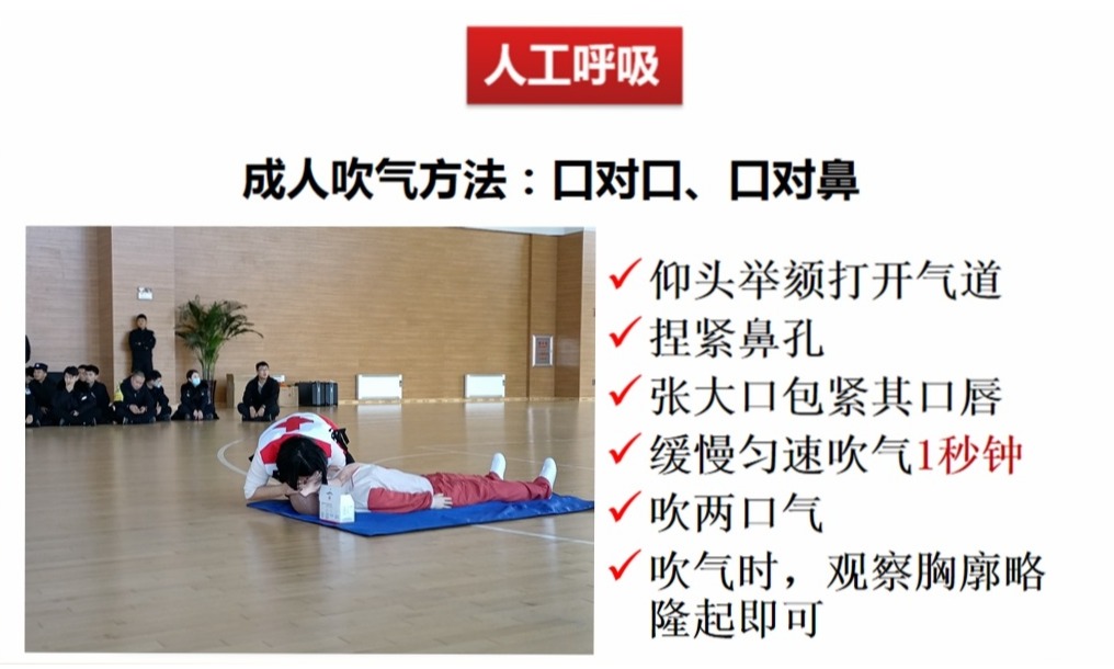 光影魔術手拼圖.jpg