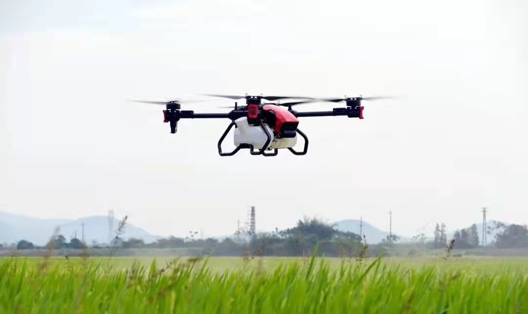 極飛農業無人機在水稻田間作業